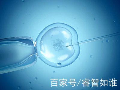 靠谱代怀包成功生殖中心